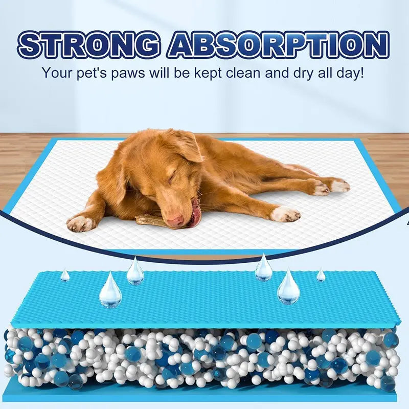 Extra Large Super Absorbent Dog Training Pads - 100 Count Leak-Proof Quick Dry Solution