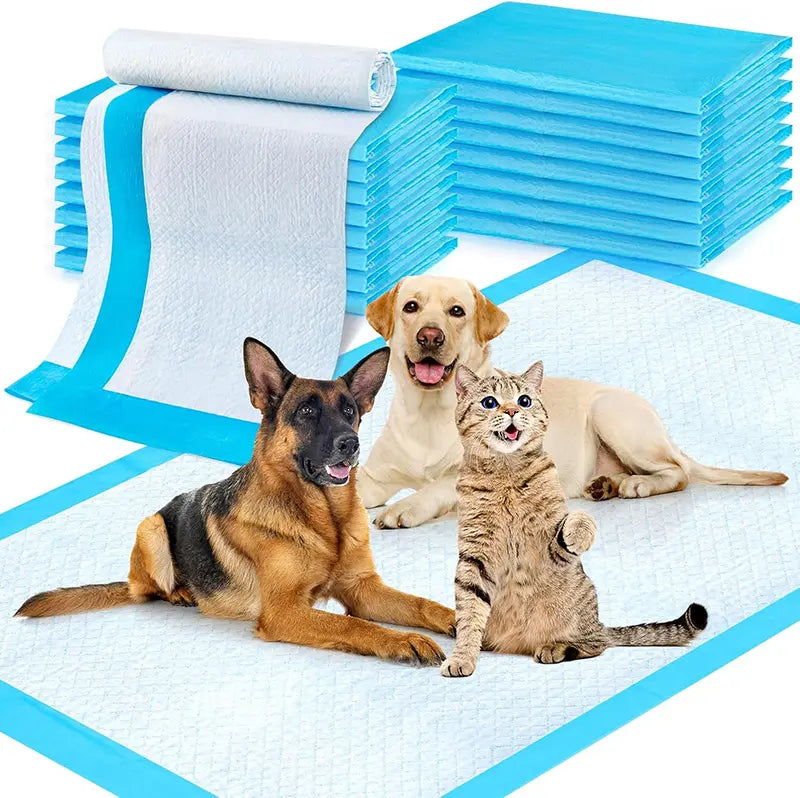 Extra Large Super Absorbent Dog Training Pads - 100 Count Leak-Proof Quick Dry Solution