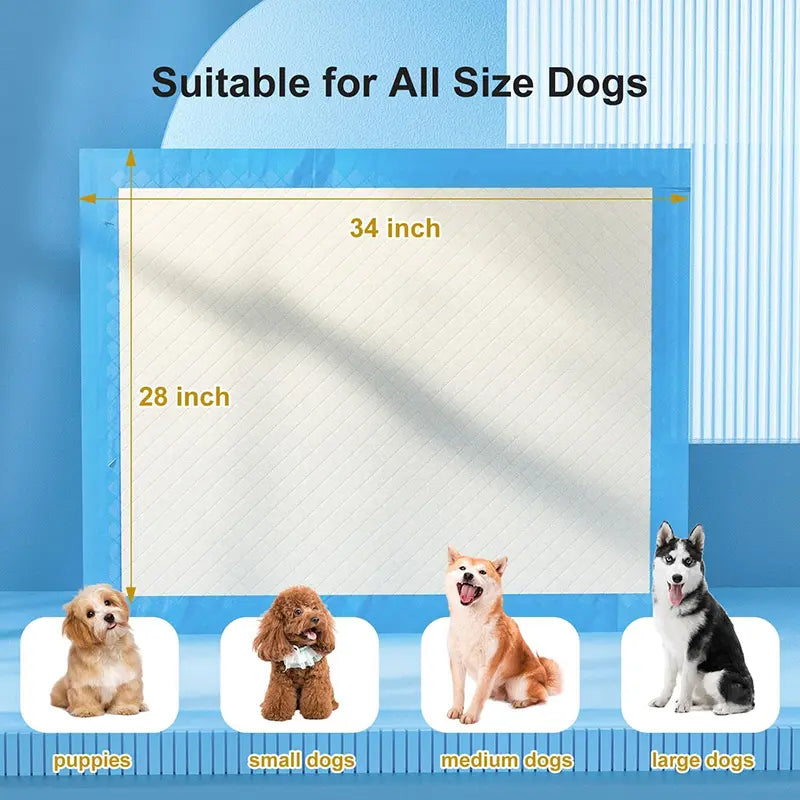 Extra Large Super Absorbent Dog Training Pads - 100 Count Leak-Proof Quick Dry Solution