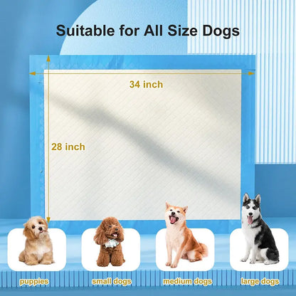 Extra Large Super Absorbent Dog Training Pads - 100 Count Leak-Proof Quick Dry Solution